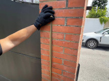 Serpiente venenosa atrapada en una vivienda de Algeciras
